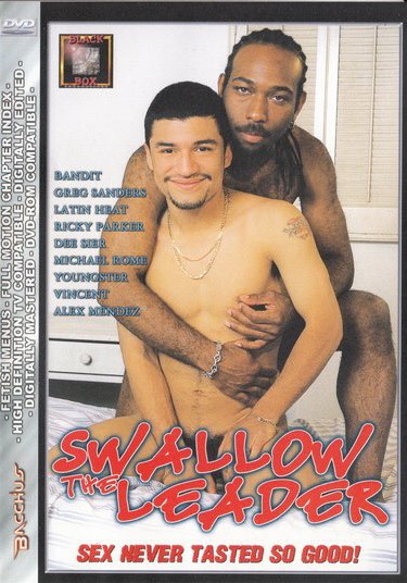 DVD SWALLOW THE LEADER