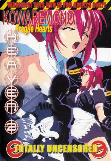DVD KOWAREMONO 2: FRAGILE HEARTS