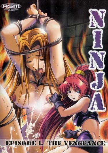 DVD NINJA - EPISODE 1 THE VENGEANCE